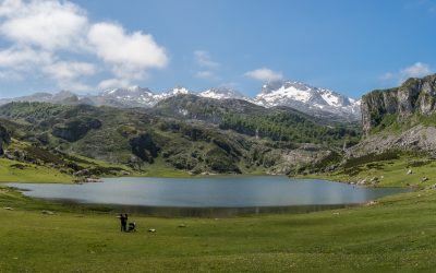 Asturias 2019. Convocatoria de oposiciones. Primaria.